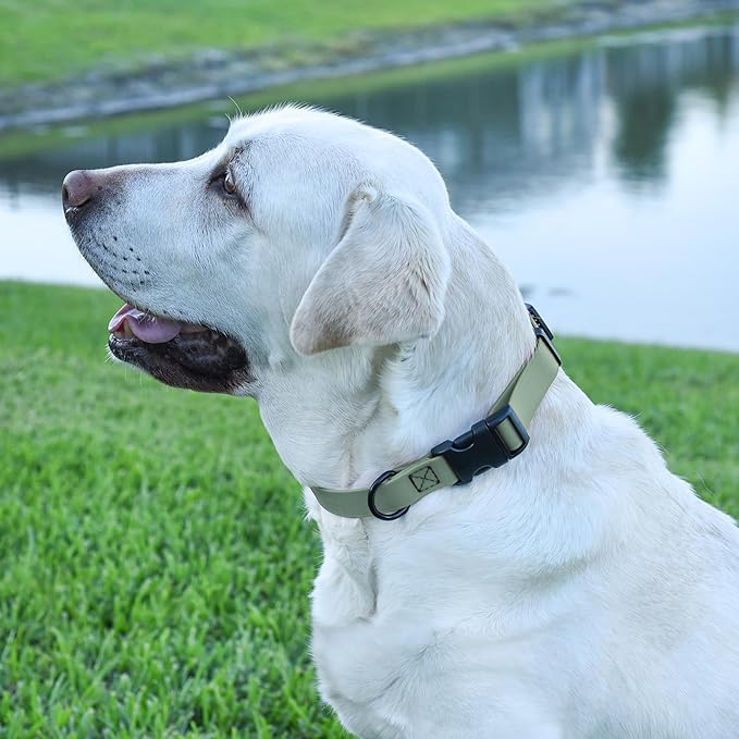 Dogline Durable Biothane Waterproof Collar for Dogs - Odor-Resistant Coated Webbing, Quick-Release Design, Comfortable Adjustable Fit, 5/8" W by 10-14" L,Sage Green