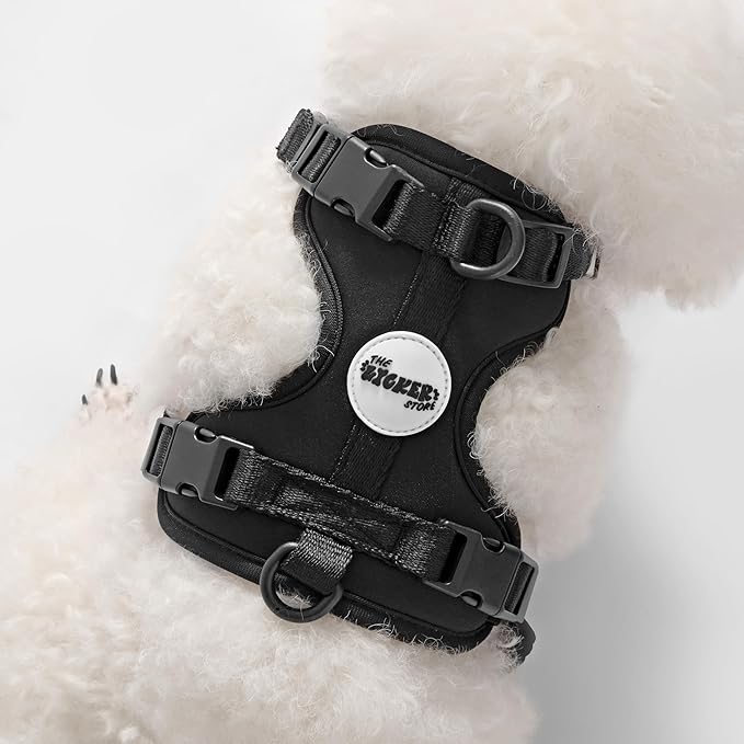 HNS1000I Arlo Extra Small Adjustable Soft Padded No Pull Pet Harness with 3 Buckles and 3 Leash Clips, Bitters