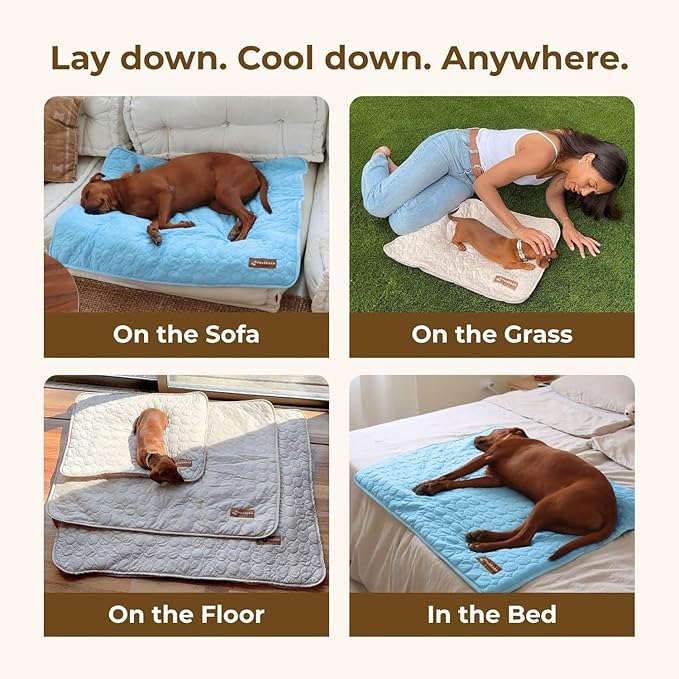Pelsbarn Dog Cooling Mat- Ice Silk Summer Comfort, Self Cooling, Non-Slip Dog Pad, Durable & Washable, Mat for Medium Dogs 19" x 25", Support Shelter Dogs with Every Purchase (Blue)
