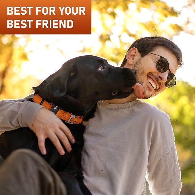 Biothane Dog Collar with Cobra Buckle - Made in USA - QR Code Dog Tag ID Included - Adjustable Heavy Duty Dog Collars for Medium Large Dogs - Waterproof Military Grade Tactical (3/4", Orange)