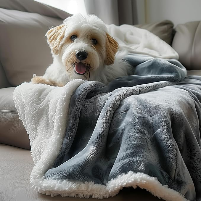 Waterproof Queen Size Blanket - Sherpa Fleece Reversible Throw, Soft Warm Leak-Proof Bed & Couch Protector for Kids, Pets & Everyday Spills (Velvet Gray/Cloud White, Queen 90x90)