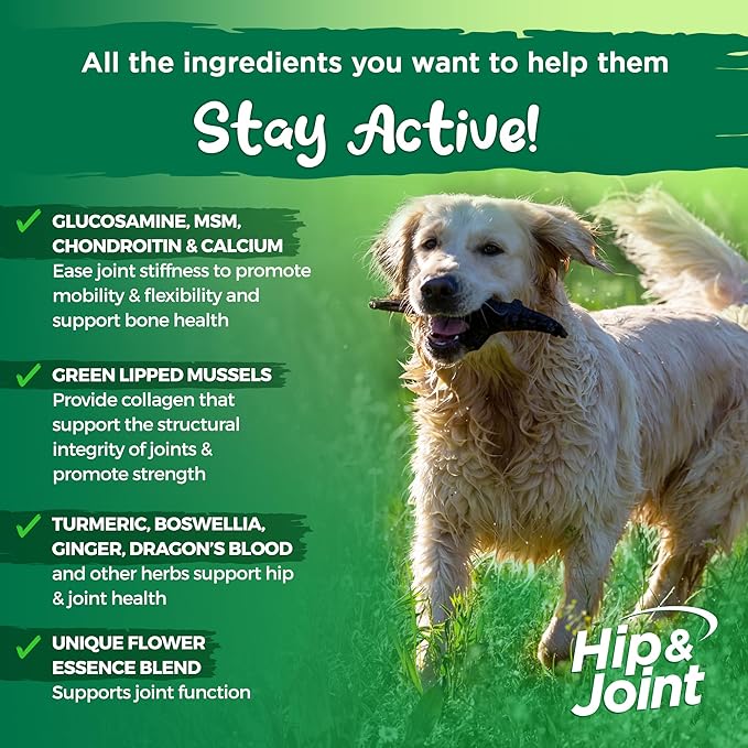 Vital Planet - Hip and Joint Support Powder Supplement for Dogs, with Glucosamine, Turmeric, Boswellia, MSM, and Collagen from Green-Lipped Mussel - Beef Flavored Powder, 60 Scoops, 111 Grams