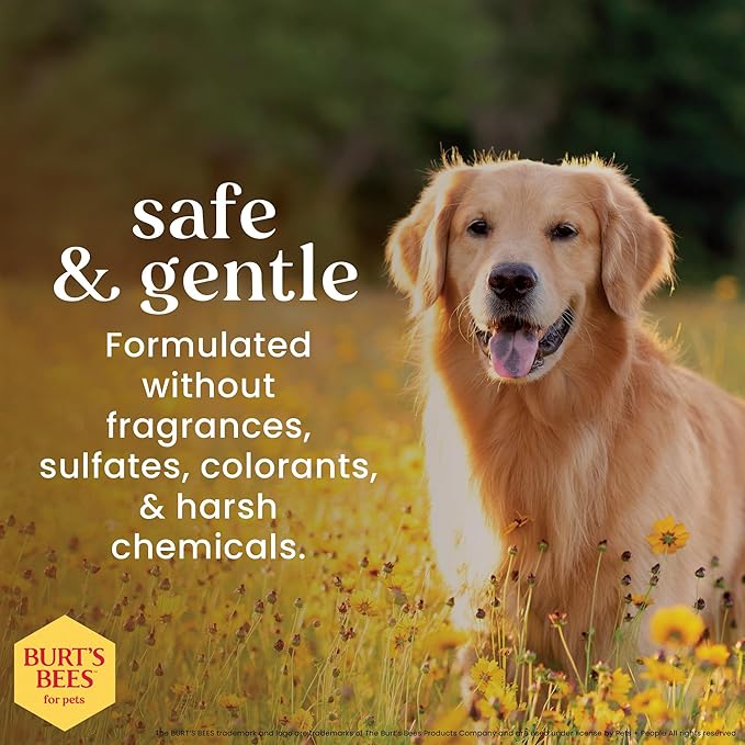Burt's Bees for Pets Eye & Ear Cleansing Wipes for Dogs, Fragrance-Free, 98% Natural Origin Formulas, Gentle Spot Cleaning Sheets for Dog Eyes and Ears, 100 Count