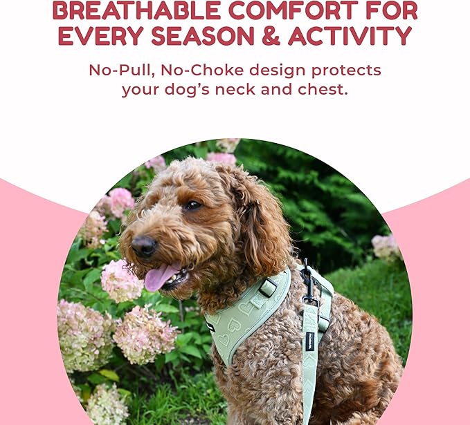 No Pull Puppy Harness and Leash Set – No Choke Neoprene Dog Harness for Large Dogs (40–60lbs), Green(L), Lightweight Breathable Mesh with Unique Heart Pattern, Adjustable Fit