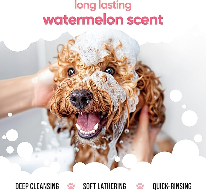 Watermelon Dog Shampoo by Buddycare | Deep Cleansing Shampoo for Dogs | Fresh Scented | with Aloe Vera and Pro Vitamin B5 (169.07oz)