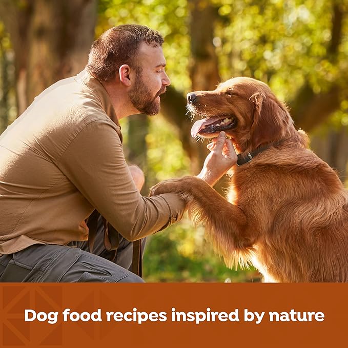 Nature's Recipe Grain Free Wet Dog Food Paté Variety Pack Chicken and Beef Recipes with Sweet Potato & Pumpkin, 13oz. Cans (Pack of 12 Cans)