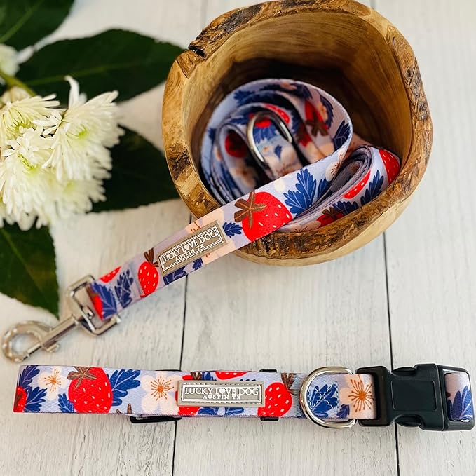 Lucky Love Dog - Adjustable Dog Collar with Easy Click Buckle for Small to Large Ones, Durable, & Comfortable for Male & Female Dogs, Pet Collar for Puppies & Adult Dogs - Sweet Berry, Medium