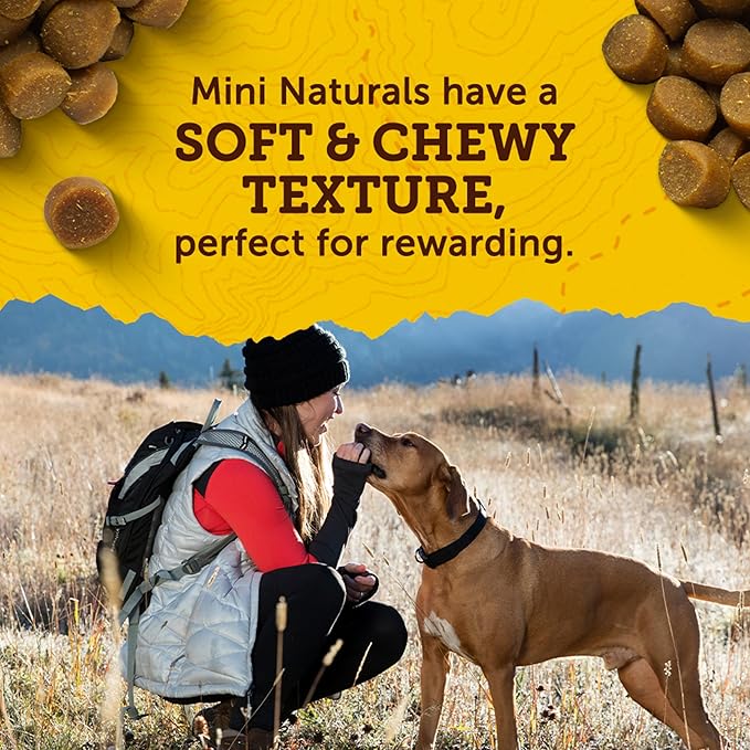 Zuke’s Mini Naturals Dog Training Treats for Dogs of All Sizes, Pet Treats made with Real Salmon, 16 oz. Resealable Pouch - 16 oz. Bag