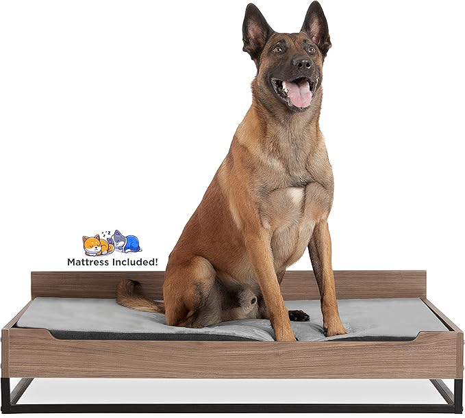Milo TailZzz Wooden Dog Bed & Couch with Water-Resistant Mattress, Large to Extra Large Elevated Pet Bed with Calming Mattress, Greenguard Gold Certified