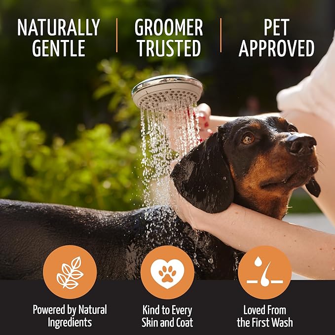 Tauro Pro Line 5in1 Dog Conditioner Detangler, Moisturizing Pet Wash for Dry Skin Daily Care, Gentle Cat & Puppy Conditioner (13.5 Fl Oz)