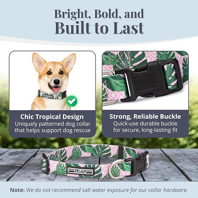 Lucky Love Dog - Adjustable Dog Collar with Easy Click Buckle for Small to Large Ones, Durable, & Comfortable for Male & Female Dogs, Pet Collar for Puppies & Adult Dogs - Laguna, Small