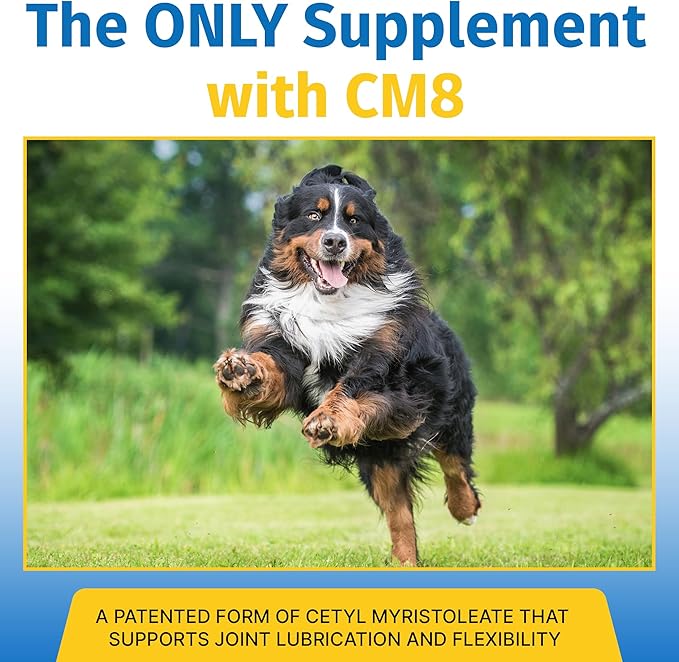 Hip & Joint Supplement for Dogs & Cats with Cetyl Myristoleate, Glucosamine, Collagen, MSM - Advanced Joint Support for Mobility, Senior Pets, Small & Large Breeds - 60 Tablets (Pork Liver)