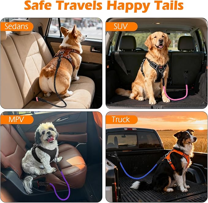 PetBonus Dog Seat Belt for Car, Durable Rope Dog Car Harness Seatbelt for Vehicle, Pet Tether Safety Restraint with Heavy Duty Buckle Hook Latch Lockable Clip for Small Medium Large Breeds (Black)