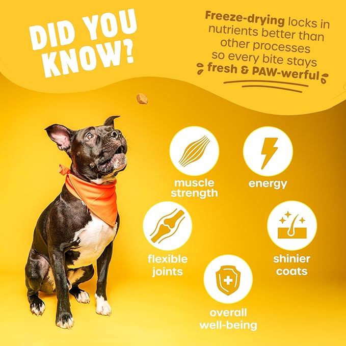 Paw Bites Freeze Dried Dog Treats - Wild Caught Salmon - Dog Food Dry Snacks - with Protein & Omega 3s - for All Breeds & Sizes - No Artificial Flavors & Dyes, No Preservatives - 1 Pouch, 4 oz