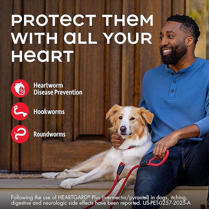 HEARTGARD® Plus (ivermectin/pyrantel) Real-Beef Chewables for Dogs 51 -100 lbs (Brown Box) 1 Month Supply of Chews (Heartworm Disease Preventive)