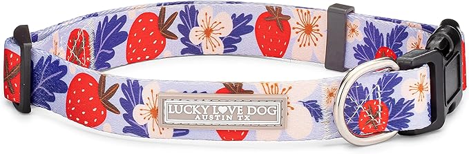 Lucky Love Dog - Adjustable Dog Collar with Easy Click Buckle for Small to Large Ones, Durable, & Comfortable for Male & Female Dogs, Pet Collar for Puppies & Adult Dogs - Sweet Berry, Small