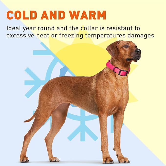 Dogline Biothane Coated Webbing Dog Collar with Black Metal Hardware: Durable Easy-Clean Everyday Collar for Dogs - Comfortable Adjustable Odor-Resistant Pet Collar, W1 x L18-22, Passionfruit Pink