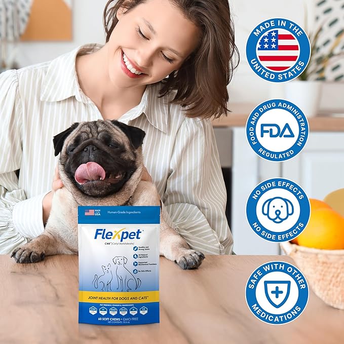 Hip & Joint Supplement for Dogs & Cats with Cetyl Myristoleate, Glucosamine, Collagen, MSM - Max Strength Joint Support for Mobility, Senior Pets, Large Breeds - Trial Pack (Bacon/Cheese)
