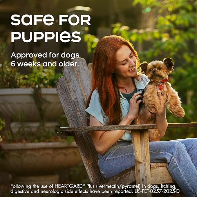 HEARTGARD® Plus (ivermectin/pyrantel) Real-Beef Chewables for Dogs 26-50 lbs (Green Box) 6 Month Supply of Chews (Heartworm Disease Preventive)