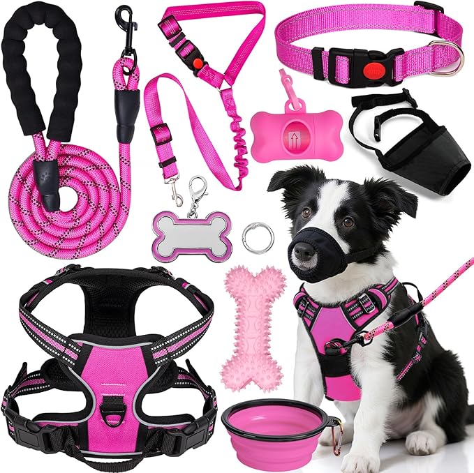 No Pull Dog Harness Adjustable Collar & Leash Set - Dog Halter Harnesses Collapsible Bowls & Poop Bag Dispenser Muzzle ID Tags Toys Fits Small Medium Large Dogs (Pink-L)