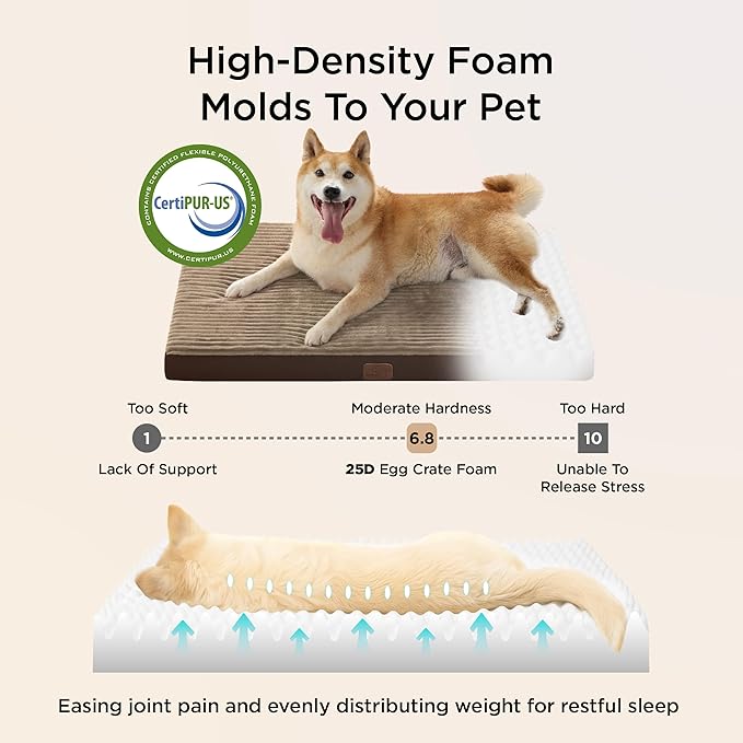 Bedsure Dog Beds Large Sized Dog- Orthopedic Pet Beds for Crate with Removable Machine Washable Cover, NOT Waterproof Egg Crate Foam Puppy Pad, Suitable for Pet Up to 50 lbs, 35"x22"