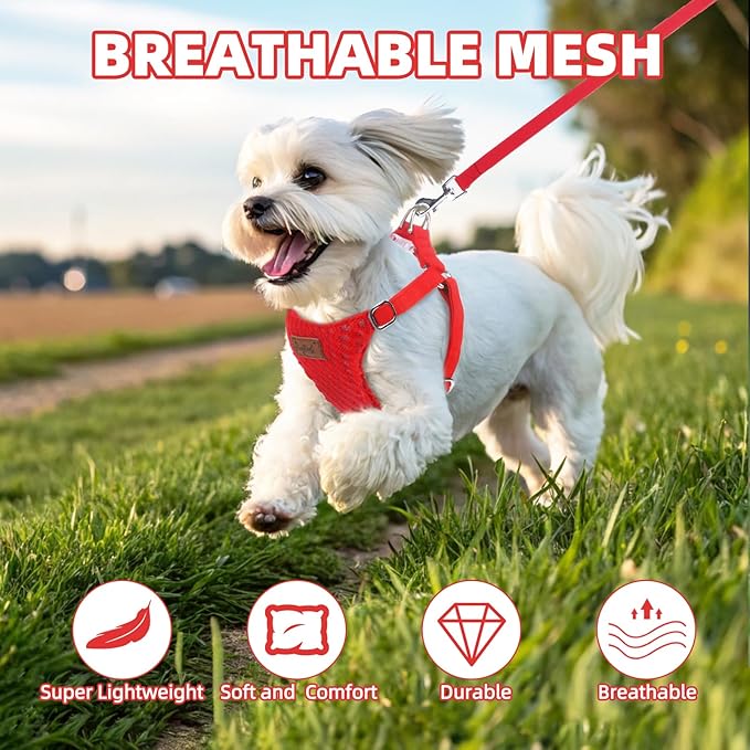PUPTECK Dog Harness and Leash Set Small Sized, Step-in Cute Puppy Harness, Soft Lightweight Padded Vest, Escape Proof No Pull Pet Harnesses Easy for Walking, Red, M