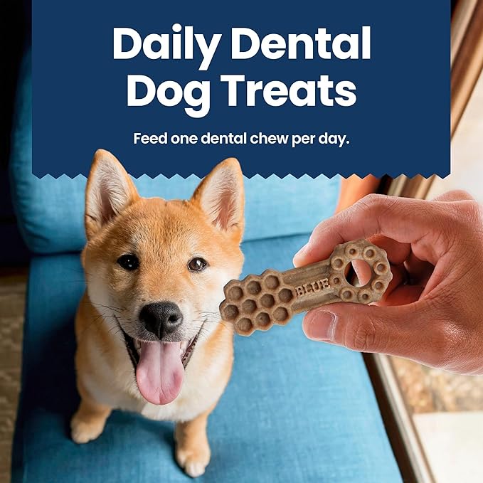Blue Buffalo Large Dental Chews for Dogs, Daily Dental Care Dog Treats Made in The USA with Natural Ingredients, Chicken & Spearmint (44-oz Box, 28 Count)