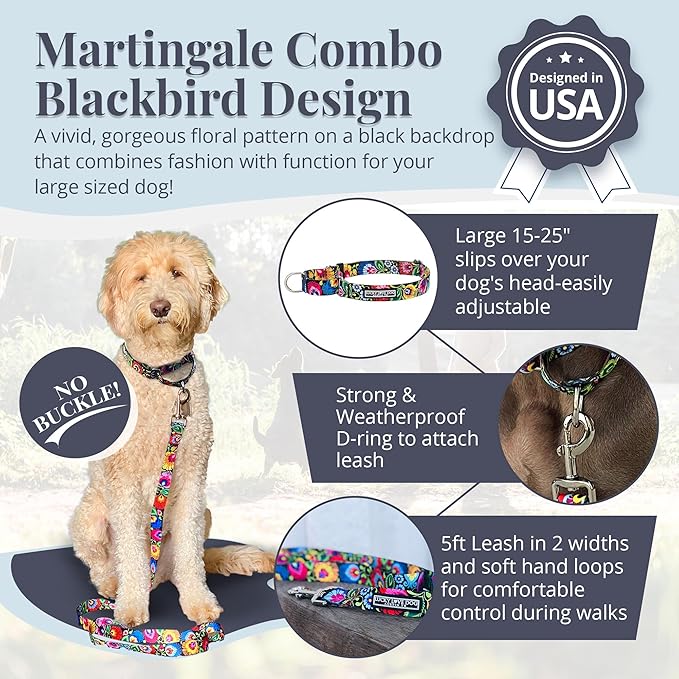 Lucky Love Dog Martingale Dog Collar & Leash - Adjustable, No-Slip, Durable, Comfortable, Soft Webbing, & Stylish Patterned Collar & Leash Set for Male and Female Dogs - Blackbird Combo, Large