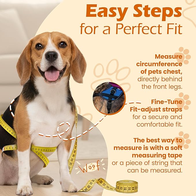 Bark Appeal Blue No-Pull Dog Harness for Medium to Large Sized Pets – Adjustable, Reflective Vest with 3 Leash Clips for Added Control, Easy Walks & Training – Large
