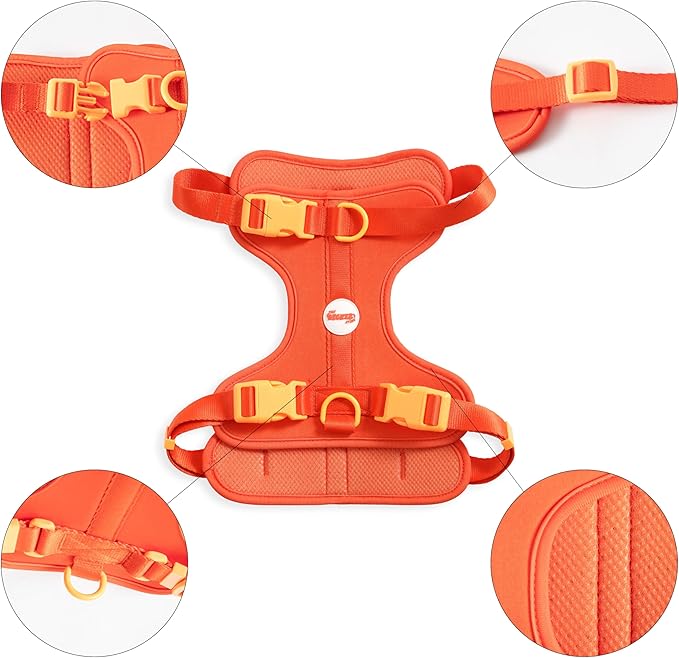 HNS1003A Arlo Large Adjustable Soft Padded No Pull Pet Harness with 3 Buckles and 3 Leash Clips, Aperol