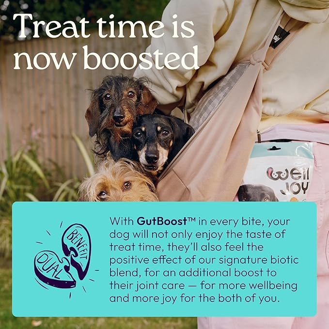 New! WellJoy Dog Treat Joint+ GutBoost | Glucosamine | Healthy Joints & Cartilage | Dual-Benefit GutBoost Formulation | Vet Formulated | Made in USA | Made with Real Shredded Chicken | 30 Soft Chews