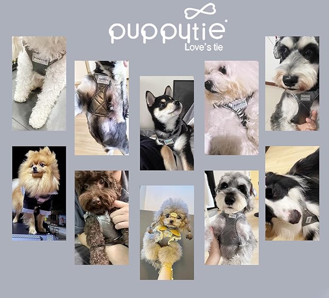 Puppytie No Pull xs Dog Harness with Multifunction Dog Leash,Soft Adjustable No Choke Escape Proof Pet Harness Vest,Glossy Grey,XXS