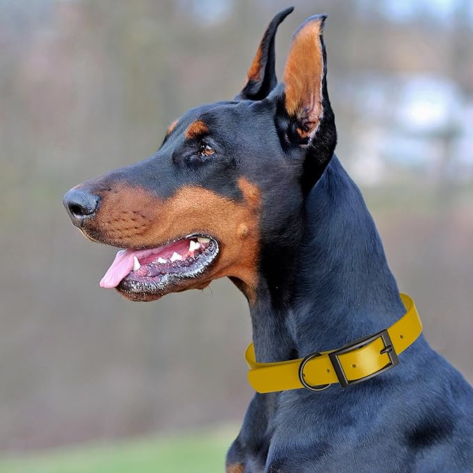 Dogline Biothane Coated Webbing Dog Collar with Black Metal Hardware: Durable Easy-Clean Everyday Collar for Dogs - Comfortable Adjustable Odor-Resistant Pet Collar, W1 x L18-22, Treasure Gold