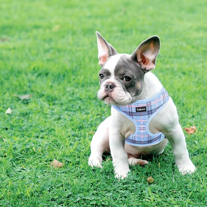 SCENEREAL Puppy Dog Harness with Leash Set for Small Medium Sized Dogs, Soft Mesh Step in Pet Harnesses and Leash, No Chock Plaid Adjustable No Pull Vest for Dogs Cats, Chihuahua,Bulldog (Blue M)
