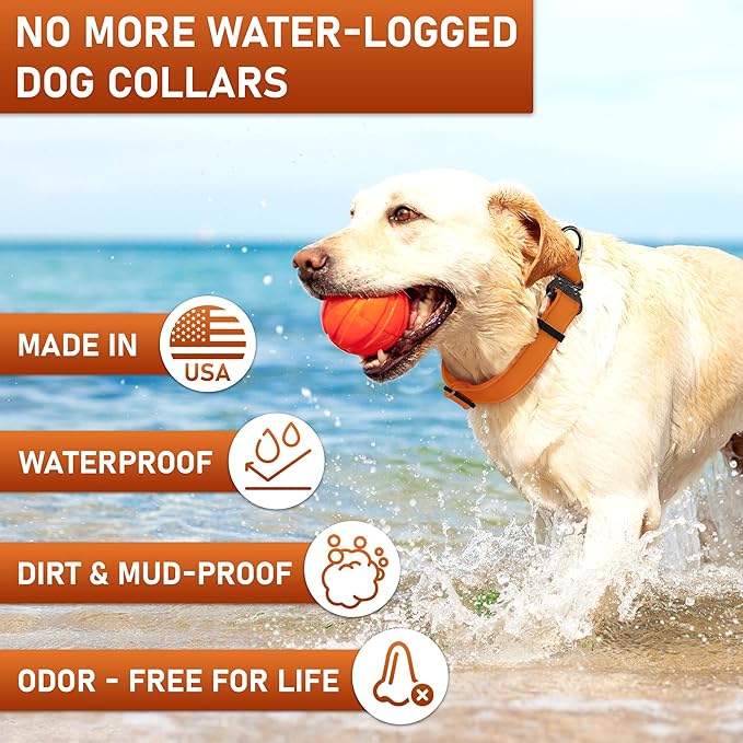 Biothane Dog Collar with Cobra Buckle - Made in USA - QR Code Dog Tag ID Included - Adjustable Heavy Duty Dog Collars for Medium Large Dogs - Waterproof Military Grade Tactical (3/4", Orange)