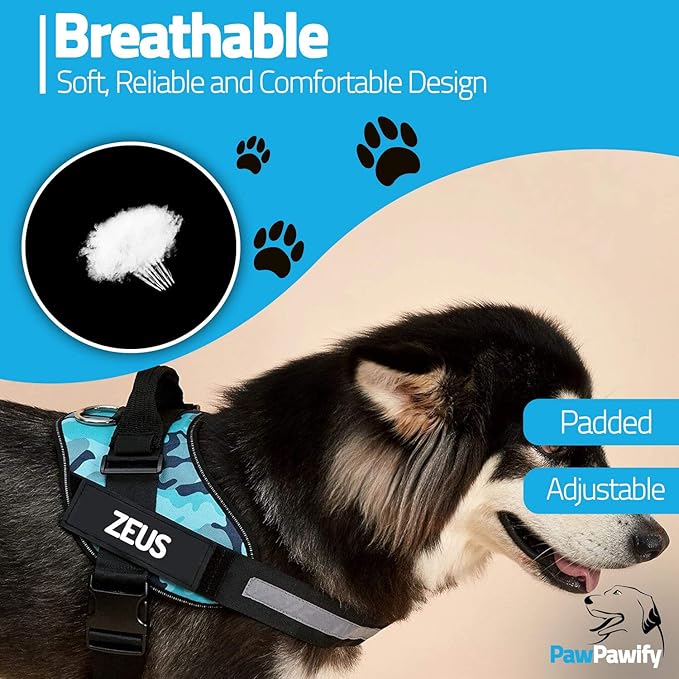 PawPawify Custom No Pull Dog Harness with Name and Phone Number, Heavy Duty Personalized Pet Vest to Prevent Tugging, Pulling, or Choking, Training and Walking (Black, M (20-40 LBS))