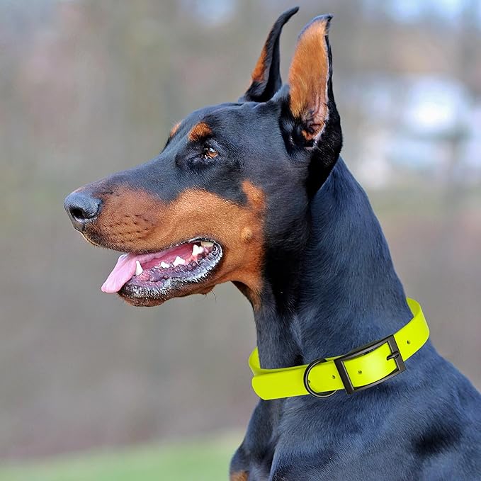 Dogline Biothane Coated Webbing Dog Collar with Black Metal Hardware: Durable Easy-Clean Everyday Collar for Dogs - Comfortable Adjustable Odor-Resistant Pet Collar, W1.5 x L16-20", Safety Yellow