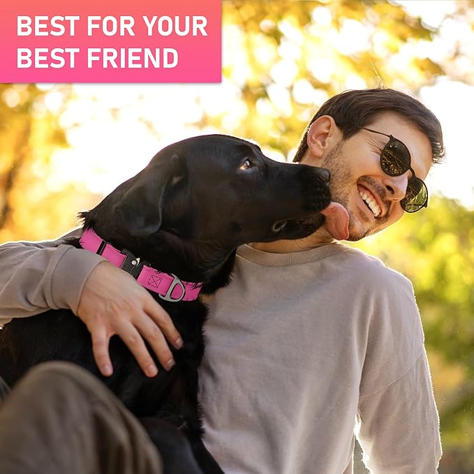 Biothane Dog Collar with Cobra Buckle - Made in USA - QR Code Dog Tag ID Included - Adjustable Heavy Duty Dog Collars for Medium Large Dogs - Waterproof Military Grade Tactical Collar for Dogs