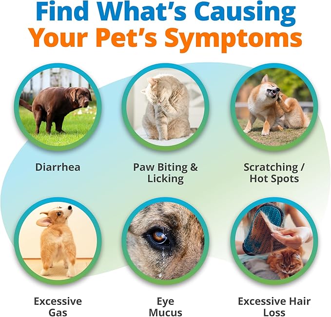 5Strands Freeze Dried Pet Food Intolerance Test for Dogs & Cats, Identify Food Ingredients Behind Gut Discomfort & Skin Issues, at-Home Hair Sample Collection Process, Non-Invasive, Results in 4 Days