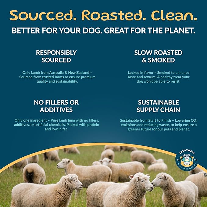 TREATOPIA Lamb Lung Nuggies Bites Dog Treats, 1 LB Bag - All-Natural, Sustainable, Healthy, High Protein, Hand-Trimmed, Slow-Roasted, Made in The USA, Nutritious, No Additives, No Fillers