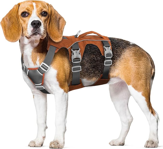 Escape Proof Dog Harness Small Sized Dog, Reflective No Pull Dog Vest with Handle, Lightweight Full Body Pet Harness Adjustable for Walking,Training(Orange,Chest:16-27")