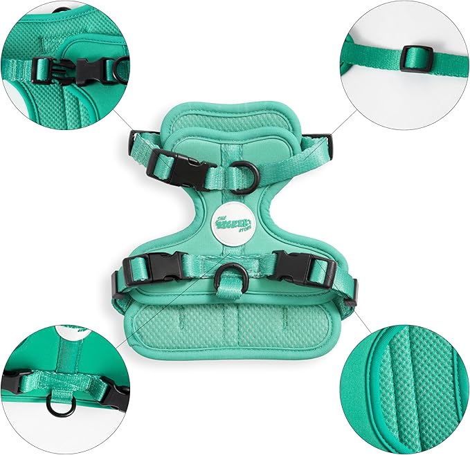 HNS1000K Arlo Extra Small Adjustable Soft Padded No Pull Pet Harness with 3 Buckles and 3 Leash Clips, Julep