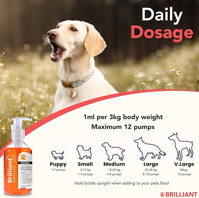 Brilliant Salmon Oil for Dogs, Cats & Puppies | Omega 3 Fish Oil Liquid Supplement with DHA, EPA Fatty Acids | Supports Skin and Coat, Immune System & Joint Function | Hofseth BioCare (10oz)