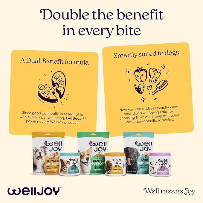 New! WellJoy Dog Treat Immune+ GutBoost | Vitamin E | Pumpkin for Sensitive Stomachs | Dual-Benefit GutBoost Formulation | Vet Formulated | USA Made | Made with Real Shredded Chicken | 30 Soft Chews