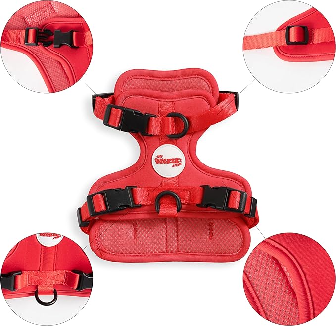 HNS1000M Arlo Extra Small Adjustable Soft Padded No Pull Pet Harness with 3 Buckles and 3 Leash Clips, Shirley