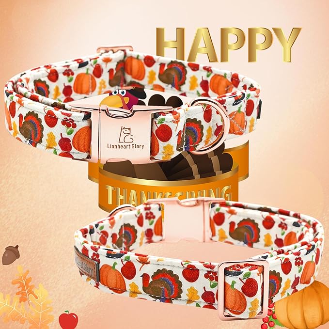 Lionheart Glory Turkey Bow Collar for Girl or Boy - Pet Gift Thanksgiving Collar for Small Dogs