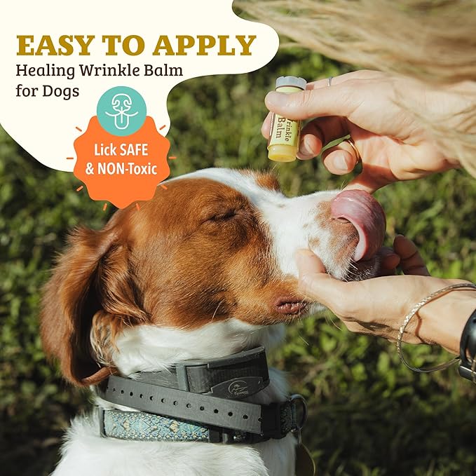 Natural Dog Company Wrinkle Balm, Travel Stick, 0.15 oz, Dog Lotion for Dry Itchy Skin, Cleans Wrinkles, Yeast Infection Treatment for Dogs, Plant Based, Frenchie Dog Accessories, Made in USA
