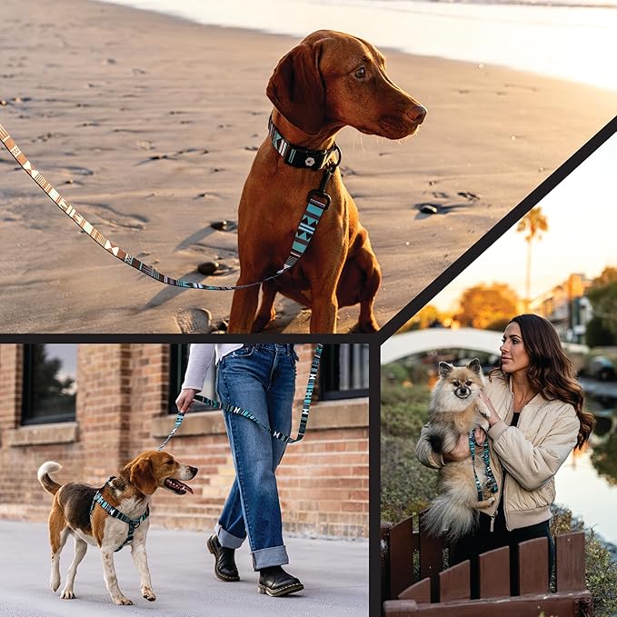 Wolfgang Heavy Duty Adjustable Dog Harness, Pull-Tested to Over 800 lbs for Walking & Training, WesternSky Print, Large