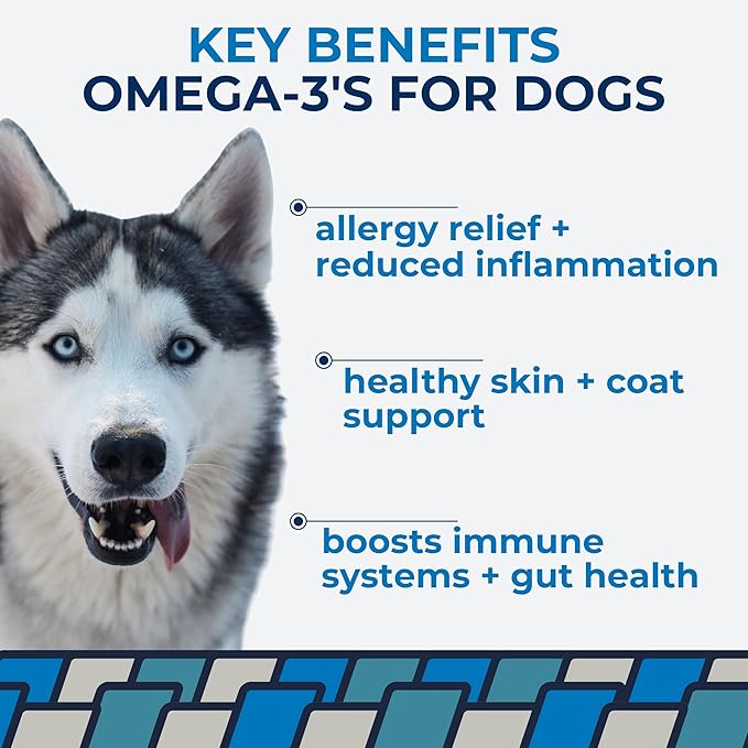 Momentum Carnivore Nutrition Diced Cod Bites Dog Treats – Single Ingredient Icelandic Cod Skin Chews | Natural Dental Support | High-Protein Fish | Healthy Dog & Cat Treats | 4 oz Bag