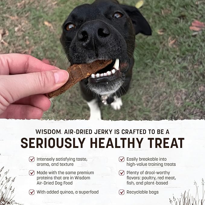Earth Animal Wisdom Air Dried Jerky - from The Land Recipe Premium Natural Red Meat Jerky Strips Dog Treats - 4 oz Bag